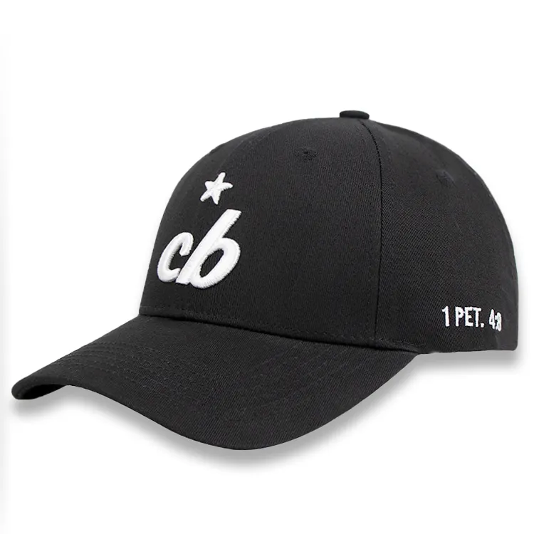 Qianzun High Quality Classic black Hats Men cotton 6 panel 3d embroidered logo custom Baseball Cap