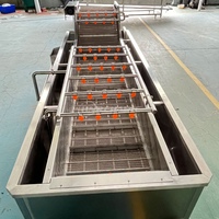 Hoogrenderende Roestvrijstalen Industriële Fruitgroente & Spinazie Salade Kool Wasmachine Productielijn Verwerking
