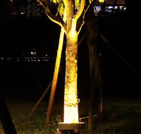 Anneau lumineux LED pour arbre de Noël, extérieur, étanche IP65, couleur unique ou RVB