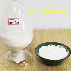Poudre Probiotique <span class=keywords><strong>Lactobacillus</strong></span> Plantarum pour Additif Alimentaire Bétail & Volaille Améliore la Digestion, l'Immunité et l'Utilisation des Aliments - Product Image 2