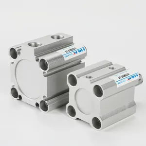 Tipis Silinder CQ2B Bore 12/16/20/32/40/50/63/80/100Mm 5-100Mm ACQ Double-Acting Pneumatic Cylinder