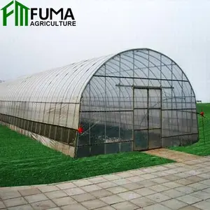 FM <strong>Cheap</strong> Galvanized Material Tunnel Hydroponic <strong>Greenhouse</strong> <strong>for</strong> <strong>Sale</strong> - Product Image 1