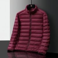 Nouvelle veste en duvet légère et décontractée pour hommes et femmes, col montant, duvet de canard respirant, fermeture éclair, grande taille