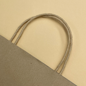 Biểu Tượng Tùy Chỉnh Thiết Kế Cổ Điển Nâu Mua Sắm Túi Tái Chế Kraft In <span class=keywords><strong>Craft</strong></span> Túi Giấy Cho Trang Phục Mua Sắm Đồ Trang Sức Bao Bì - Product Image 6