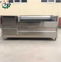 Machine à Frites Professionnelle, Laveuse et Éplucheuse de Pommes de Terre, Nettoyeur de Légumes pour Noix de Coco, Maïs, Fruits, en Acier Inoxydable SUS 304 de Haute Qualité