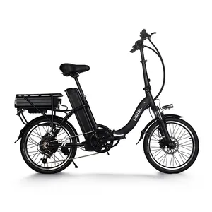 迷你热卖MC300电动自行车48V 10Ah电池250瓦电机后驱动无刷齿轮轮毂20英寸ebike成人