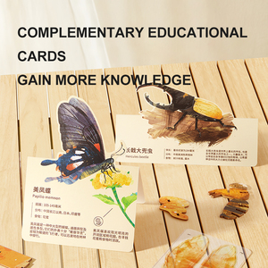 Mideer MD1347 Rompecabezas 3D Puzzle Jouet Cerveau Twisters IQ Puzzle Puzzles En Bois pour Enfants - Product Image 5