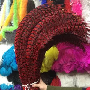 Atacado de penas de pheasant para carnaval, penas baratas de flanela para carnaval