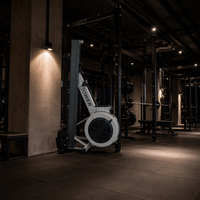 Appareil de musculation commercial Reyk pour entraînement cardio, Rameur à air en acier durable, Poids utilisateur max. 160 kg, Personnalisable