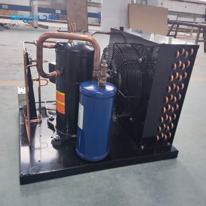 Meilleure vente 2HP compresseur à défilement YF13E7G-Q100 à basse température unité de condensation de <span class=keywords><strong>petit</strong></span> <span class=keywords><strong>volume</strong></span> pour réfrigérateurs et congélateurs - Product Image 5