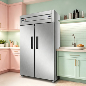 Congelador Vertical Comercial de Gran Volumen con Doble Puerta de Acero Inoxidable para Servicios de Alimentos y Cocinas Comerciales - Product Image 3