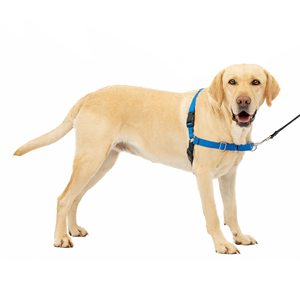 <span class=keywords><strong>Harnais</strong></span> pour chien <span class=keywords><strong>PetSafe</strong></span> pour promenade facile <span class=keywords><strong>Harnais</strong></span> Oxford en nylon réfléchissant réglable pour chiens de taille moyenne <span class=keywords><strong>Harnais</strong></span> pour chien sans <span class=keywords><strong>traction</strong></span> Riv - Product Image 5