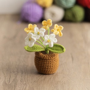 Mini-bassin tressé à la main DIY pour plantes, en fil crocheté, ornement de bureau, cadeau personnalisé pour la Fête des Enseignants - Product Image 6
