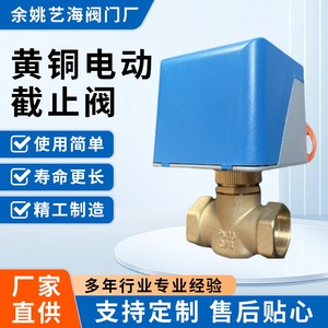 Válvula de cierre eléctrica de latón de 3/4 pulgadas de paso recto para sistema de calentamiento de agua - Product Image 5
