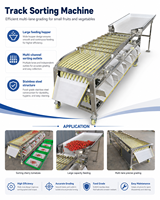 Multifunctionele automatische fruit- en groentesorteermachine PLC-besturing kersentomaat sinaasappel kumquat sorteermachine YUMO YUMO-QFS280
