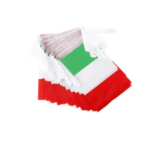 Personalizzato bandiera ghirlanda 68D poliestere italia bandiera stringa, costume italiano bandiera pavese