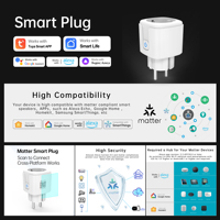 Prise intelligente SIXWGH Matter EU Schuko 16A WiFi avec moniteur d'énergie, compatible avec Apple Home, Google Home, Alexa et l'application Tuya