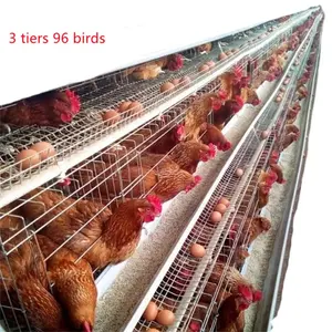 Hot Sale Cage Egg Layer Cage Used For Farm Pouitry