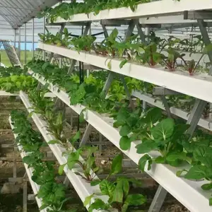 Sistema de cultivo de vegetales hidropónico, Mini NFT de uso familiar, plástico de 1,8mm, 2,0mm, 50mm de diámetro de CN 100x50mm, pequeño