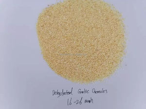 La nourriture dégradent des granules d'ail pour le traitement instantané de nouilles pour le Offre Spéciale - Product Image 5