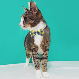 Tanpopo ajustable seguro hebilla gatito collares Plaid Bowtie mascota gato cuello corbata ajustable Breakaway Bell accesorios de Navidad - Product Image 2