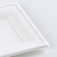 Vente en gros de bols d'assiettes jetables en bagasse pour la fête