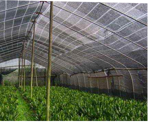 Bán buôn giá rẻ đen 30%-90% + UV Nông Nghiệp Nhà kính vải bóng râm vườn Sun Shade Net - Product Image 6