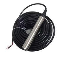 Intelligenter 0-5V 4-20mA RS485 Tauchfähiger Wassertank-Füllstandsensor CE ISO Zertifiziert 0,5% FS Genauigkeit 5m Kabel für Grundwasserpegel