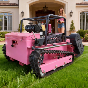 New Listing Diesel Cordless <b>Lawn</b> <b>Mower</b> With Core Components Motor and Engine <b>for</b> <b>Lawn</b> Care - Product Image 5