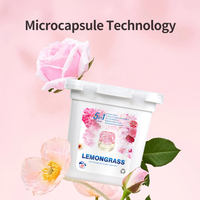Capsules de lessive non biologiques 5 en 1 OEM 10g, parfum longue durée, dosettes de détergent