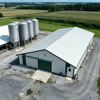Bâtiment de poulailler en structure acier à panneaux sandwich isolés thermiquement et haute résistance, idéal pour les fermes avicoles en climat froid