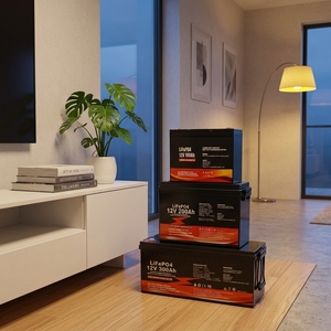 Harga Pabrik Baterai Lithium 12V 24V 300Ah  Baterai LiFePO4 12V Sistem Tenaga Surya LFP - Product Image 1