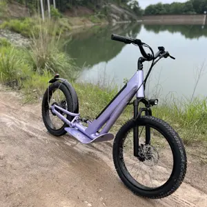 Adult All Terrain Suspension Off Road Electric Scooter With DDP Shipping To Door To EU USA CANADA