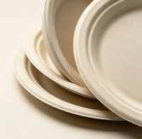 Assiette en pulpe de papier recyclable personnalisable de qualité alimentaire pour événements, traiteur, restaurant, usage domestique, exposition et service alimentaire