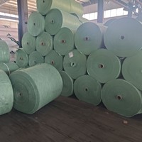 Tissu géotextile de qualité ingénierie, haute résistance, perméable pour les projets de drainage