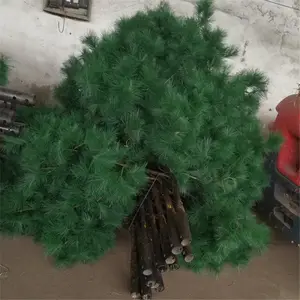 Camouflage Tree Tower With Best Price 20m 30m 40m 50m Manufacturer Telecommunication Artificial Camouflaged Coconut Palm Pine Tree Tower