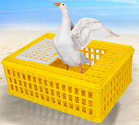 Vente en gros Cages de transport de poulet en plastique vivantes pour canards Cages de nichoir pour le transport d'animaux