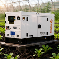 Petit générateur diesel silencieux portable avec moteur Perkins 15KVA 20KVA 30KVA 40KVA 50KVA Générateurs diesel pour la maison et l'agriculture