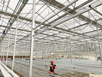 GT Smart Cadre en acier galvanisé à faible coût Serres solaires passives Venlo en verre trempé Fabricant agricole