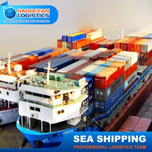 Services d'expédition de fret maritime logistique en Chine du port de Shanghai/qingdao à Kingston