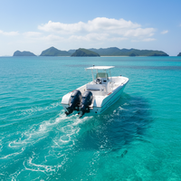 Bateau de pêche à console centrale en fibre de verre de 27 pieds avec moteur hors-bord de 85 à 115 CV à vendre