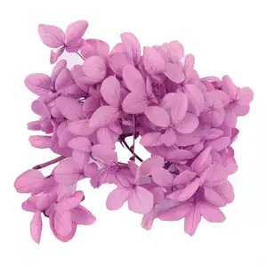 Yuntu DIY Material Immortal Preserved Fresh Real Anna Dried hydrangea Flower Blue Forever Lasting hydrangea With branches