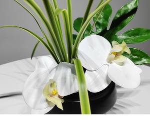 Orchidée bonsaï réaliste de qualité supérieure, directement de l'usine, fleur en pot touchable et authentique pour la décoration intérieure - Product Image 4