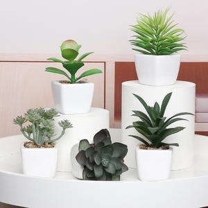 <span class=keywords><strong>Cactus</strong></span> falso en maceta de China, decoración interior decorativa para el hogar, plantas artificiales-<span class=keywords><strong>Comprar</strong></span> artificiales - Product Image 2