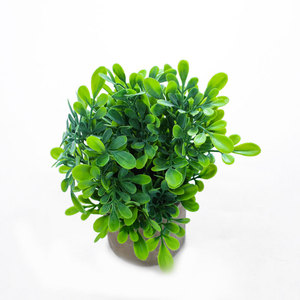 Mini plantes <span class=keywords><strong>de</strong></span> romarin <span class=keywords><strong>de</strong></span> verdure artificielle PE <span class=keywords><strong>en</strong></span> <span class=keywords><strong>pot</strong></span> fausses plantes pour la décoration intérieure pour étagère bureau salle <span class=keywords><strong>de</strong></span> bain Table basse Graduation - Product Image 3