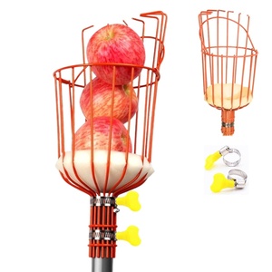 Outil télescopique en métal de qualité DIY pour la cueillette de fruits, OEM, idéal pour cueillir les oranges, les mangues, les avocats, les citrons, les poires - Product Image 5
