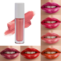 Rouge à Lèvres Liquide Mat Végétalien Hydratant et Waterproof Longue Durée, à Base de Minéraux et d'Extraits Végétaux, Haute Qualité, Meilleure Vente, Tendance