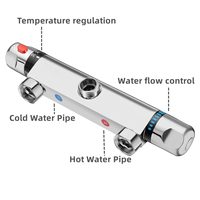 Mélangeur thermostatique à poignée unique élégant classique Robinets de salle de bain muraux polis Santé fantaisie avec fonction mesurée