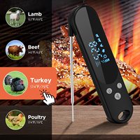Thermomètre numérique intelligent pour viande avec écran LED étanche IPX4, 2 sondes, thermomètre instantané pour grillades, aimant au dos, thermomètre domestique