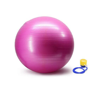 Bán Buôn 65Cm Phòng Tập Thể Dục Yoga Bóng Tập Thể Dục Ổn Định Dương Vật Giả Yoga Bóng Tập Thể Dục - Product Image 4